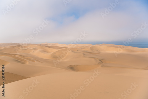 Namib Desert dunes meet the ocean  Namibia  Africa