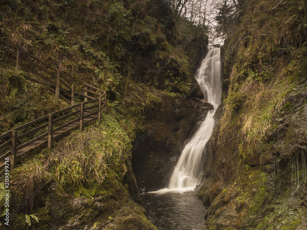 Obraz premium waterfall in the forest