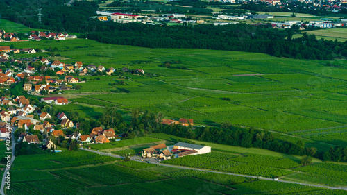 Little alsacien village Scherwiller in green vineyards, aerial view, summer time