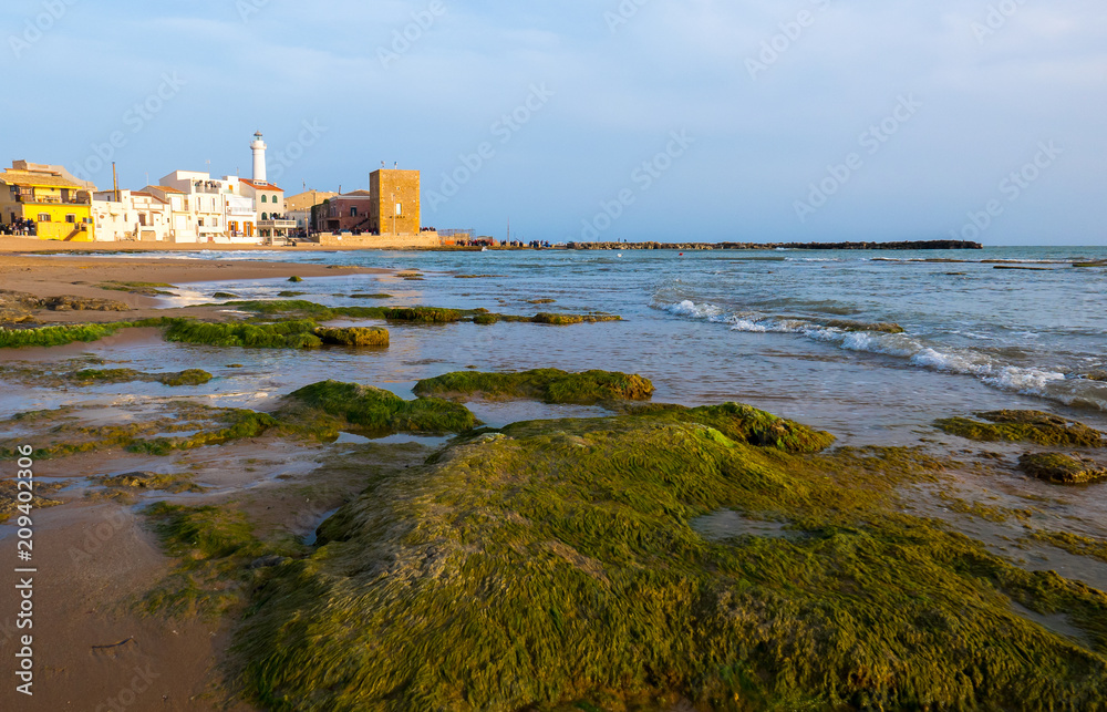 Sea water lagoons and rocks covered with seaweeds at the beach of Punta Secca, Ragusa. On the background, the fishermen villages with its lighthouse and ancien defensive tower. Punta Secca, RG, Sicily