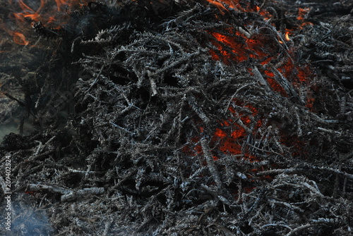 Red Charcoal