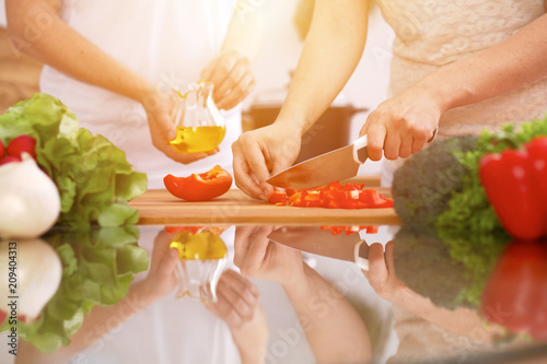 Closeup of human hands cooking in kitchen. Mother and daughter or two female friends cutting vegetables for fresh salad. Healthy meal, vegetarian food and lifestyle concepts