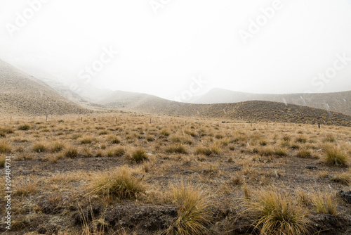 Fototapeta Naklejka Na Ścianę i Meble -  Hazy background in New Zealand South Island Mountainscape on a rainy day 