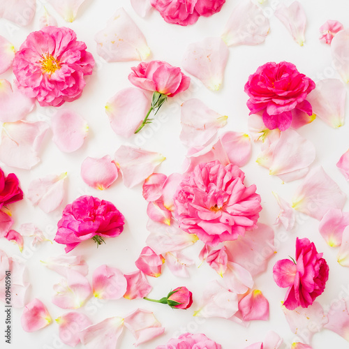 Wallpaper Mural Pattern composition of pink rose flowers on white background. Flat lay, Top view. Flowers texture. Torontodigital.ca