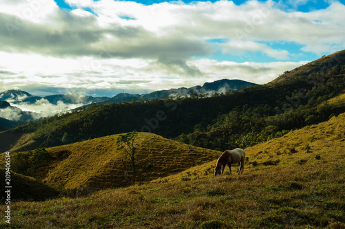 Horse  hills  clouds and countryside landscape - Cavalo  montanhas  nuvens e paisagem do interior