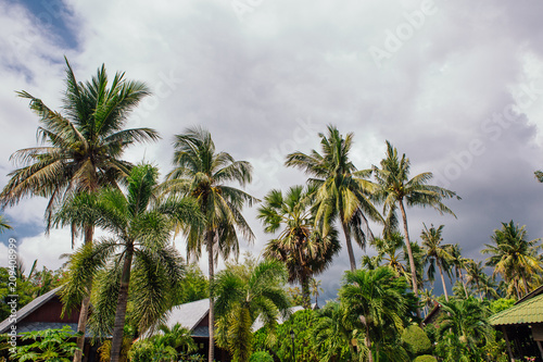 Bungalows in hotel on a tropical beach