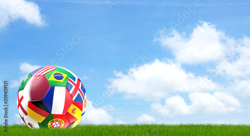 soccer ball green lawn at b...