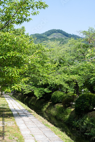 大文字山と新緑の疎水 銀閣寺道付近（京都・日本）