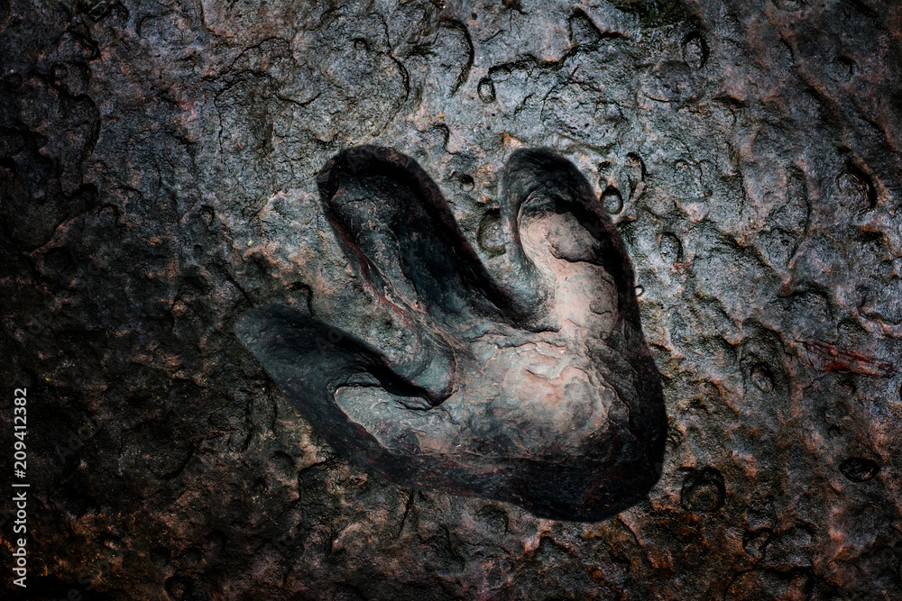 Real dinosaur footprint , Thailand. Real dinosaur footprint , Thailand.