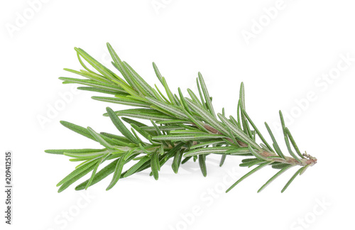 Canvas Print rosemary isolated on white background