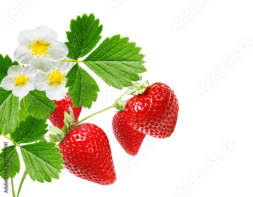 ripe fresh strawberries on white