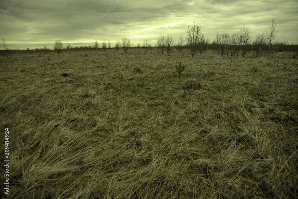 Fototapeta premium Dry grass field pasture with old, rotten grass, in the spring, in the autumn and trees in the distance is an old retro filtered look.