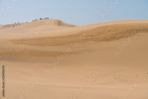 Sand dunes on desert on sunny day