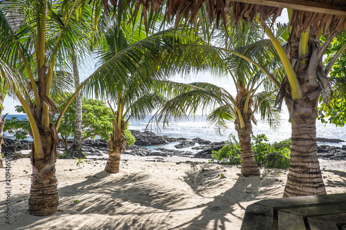 View from a tropical bar onto sandy and rocky beach with palm trees on Upolu Island, Samoa, South Pacific photo