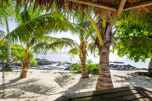 View from a tropical bar onto sandy and rocky beach with palm trees at Lefaga, Upolu Island, Samoa, South Pacific photo