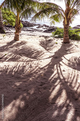 Under the shade of palm tree fronds on a sandy beach at Lefaga, Upolu Island, Samoa, South Pacific photo