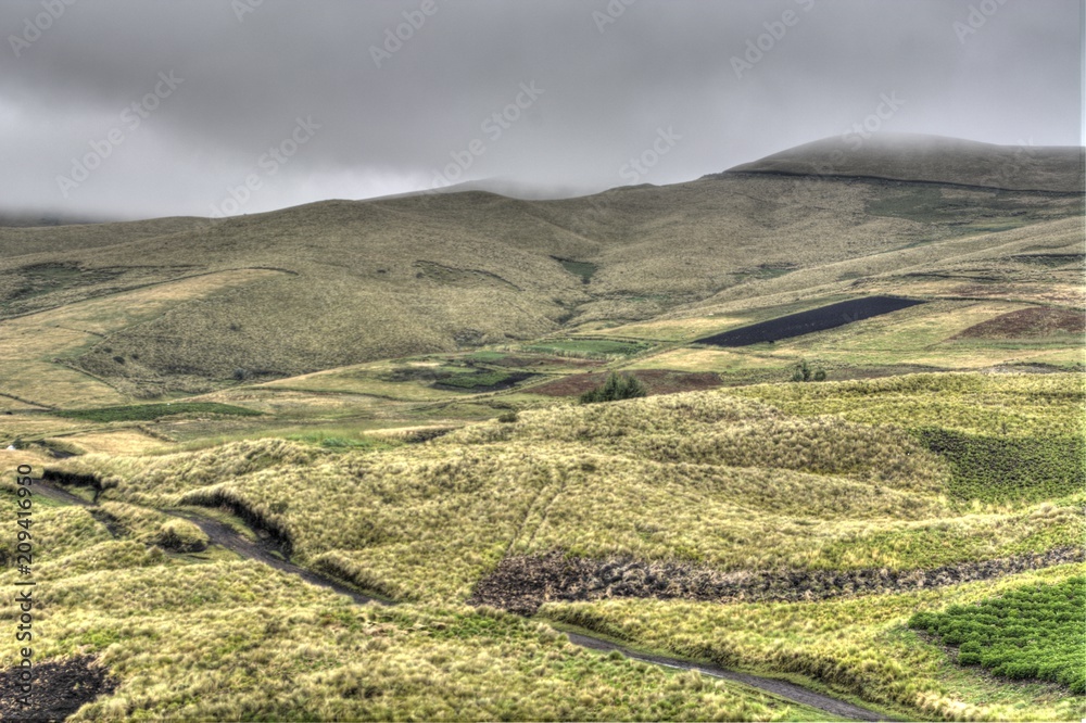 Fototapeta premium paisaje