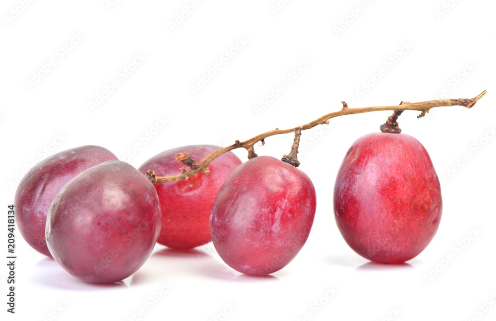 Obraz premium Grape fruit