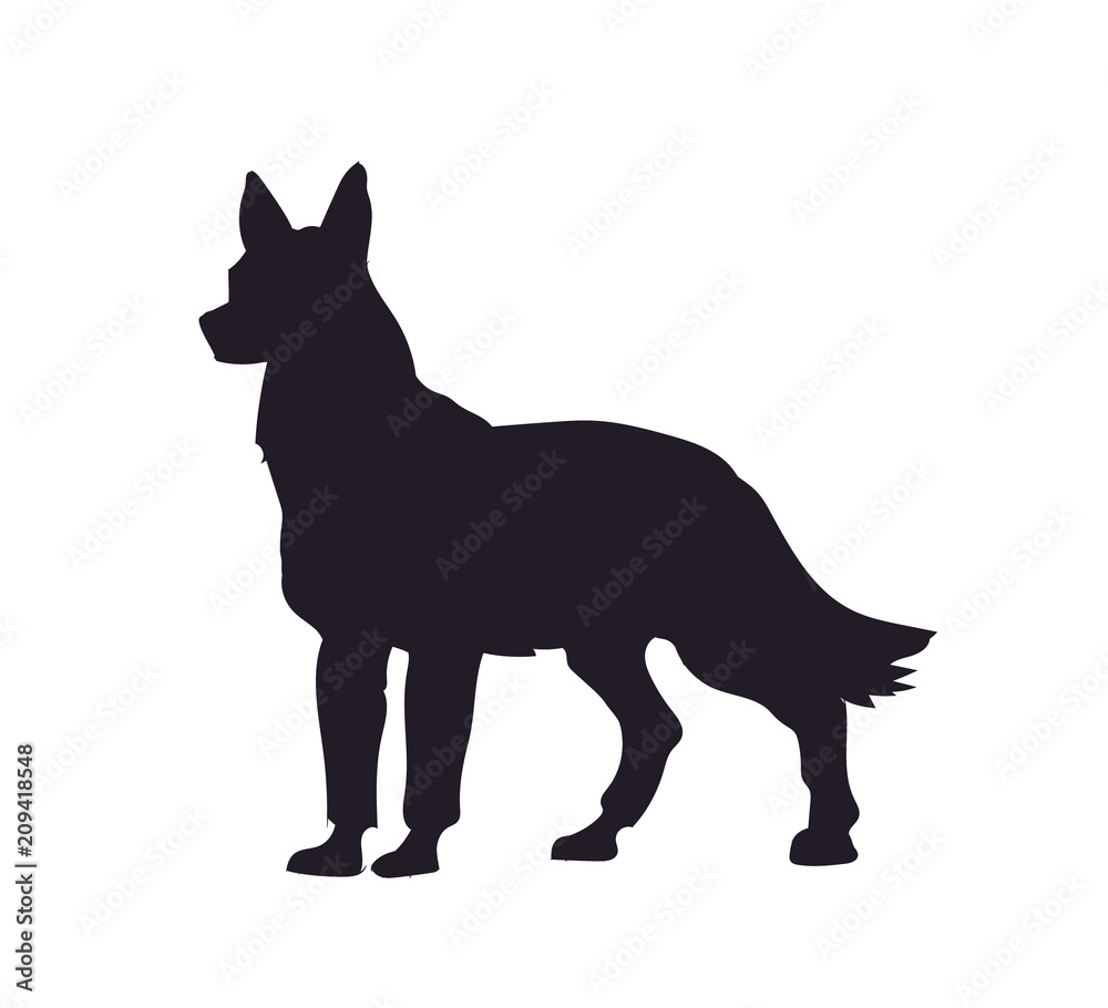 dog stands, silhouette, vector dog stands, silhouette, vector