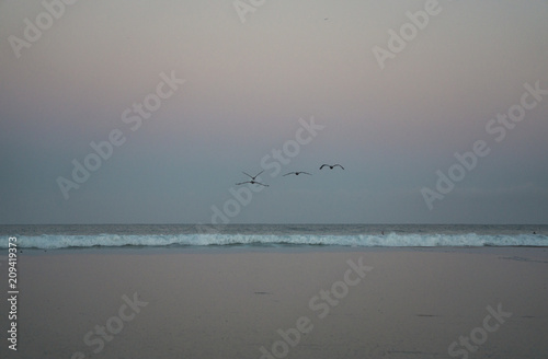 Flight Over Pink Sand