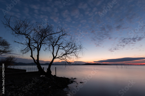 Beautiful view of a lake at dusk, with a tree in the foreground,