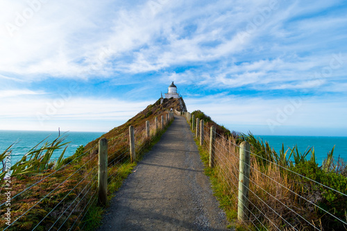 Nugget Point  Rocks cliffs  and beautiful ocean. A path to Lighthouse. The Catlins  New Zealand.