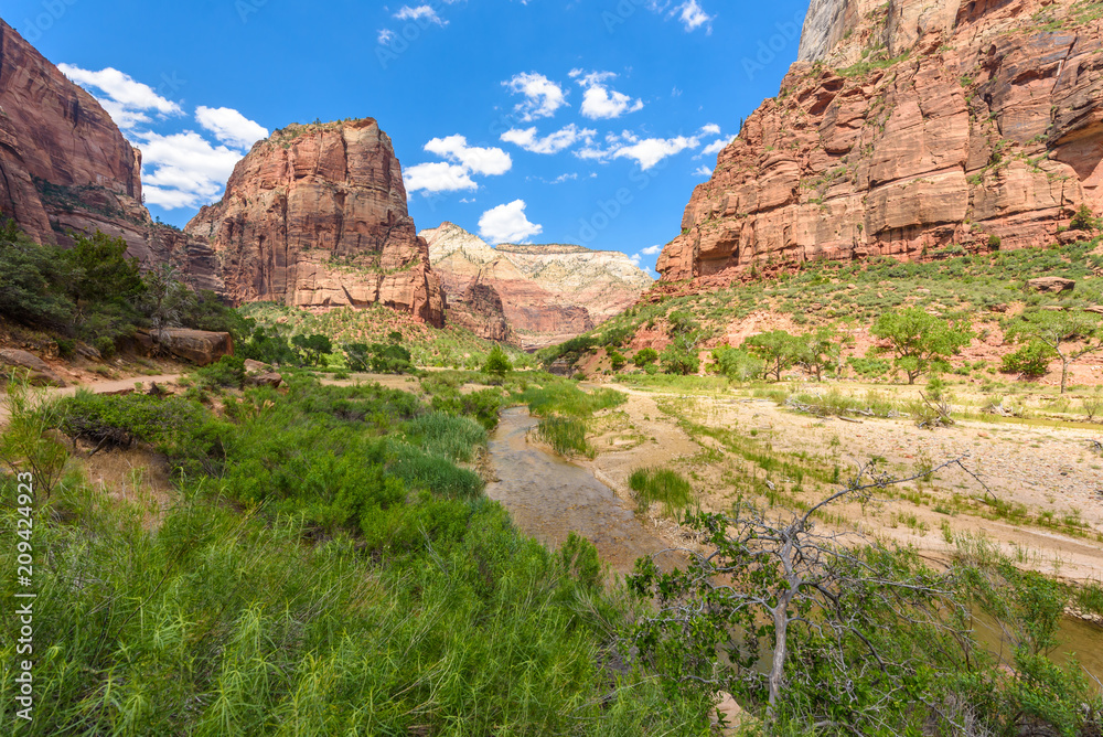 River in the Canyon of the Zion National Park - Travel destination for Outdoor in Utah, USA River in the Canyon of the Zion National Park - Travel destination for Outdoor in Utah, USA