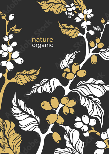 Vector banner of coffee branch. Template
