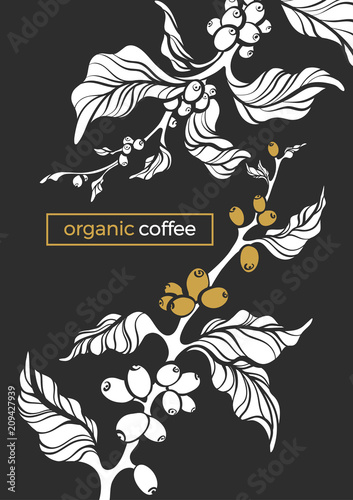 Vector luxury template of coffee tree