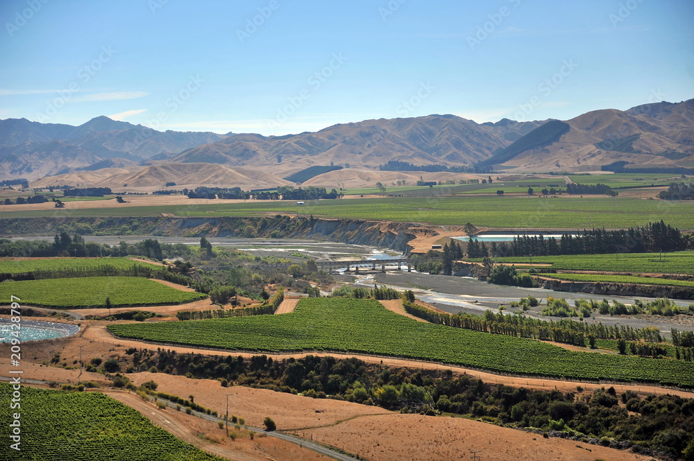 New Zealand. Vineyards of Marlborough