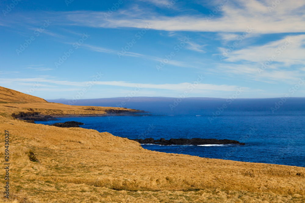 Grass on the stony coast of the fjord in the east of Iceland