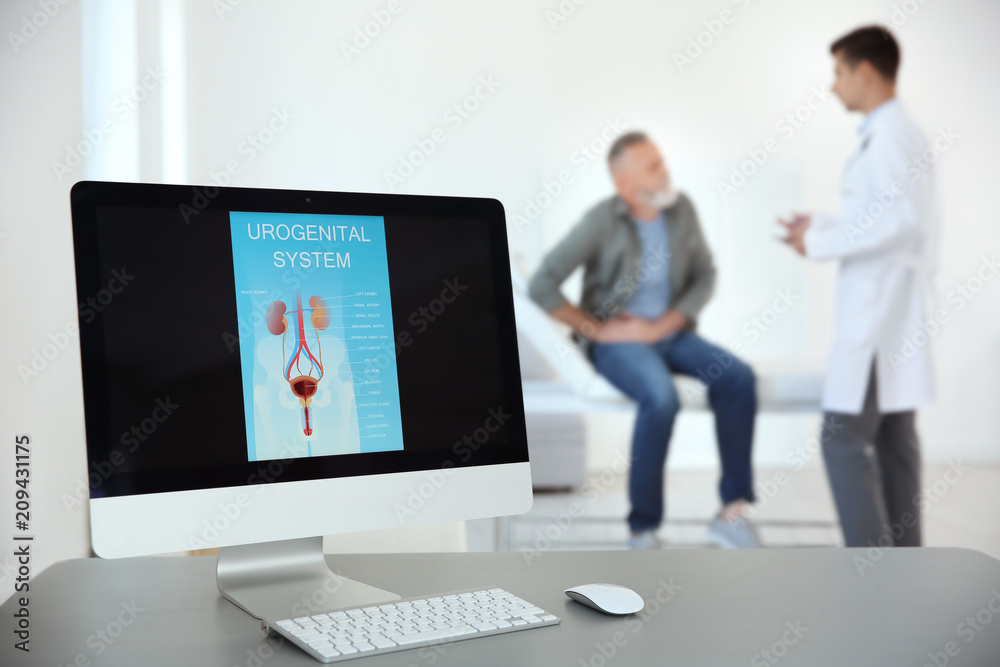 Computer monitor with picture of urogenital system and blurred people on background Computer monitor with picture of urogenital system and blurred people on background