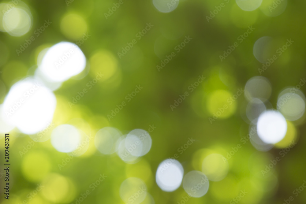 Background image blur Beautiful bokeh.