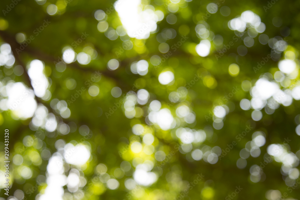 Background image blur Beautiful bokeh. Background image blur Beautiful bokeh.
