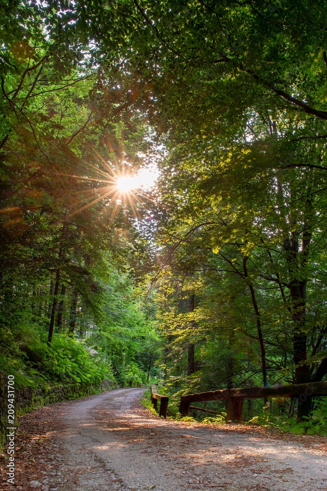 Fototapeta premium road at sunset