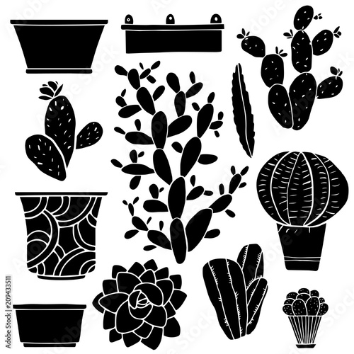 Cacti, houseplants, flowerpots, vases, boxes