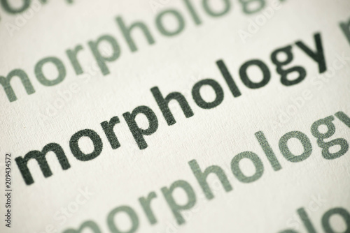 word morfology  printed on paper macro
