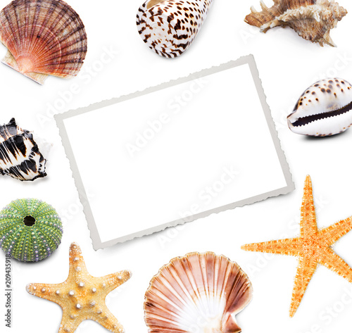 Muscheln mit alter Ansichtskarte