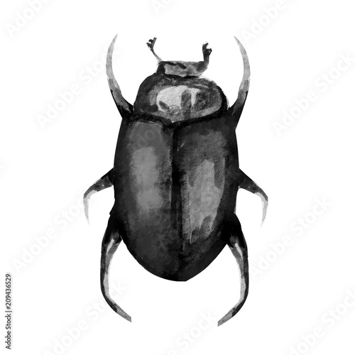 beetle with watercolour pattern