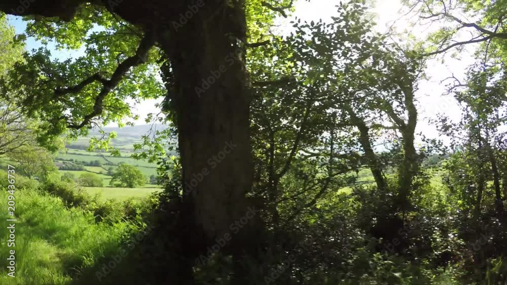 POV Driving through the Quantock Hills in Somerset, England POV Driving through the Quantock Hills in Somerset, England