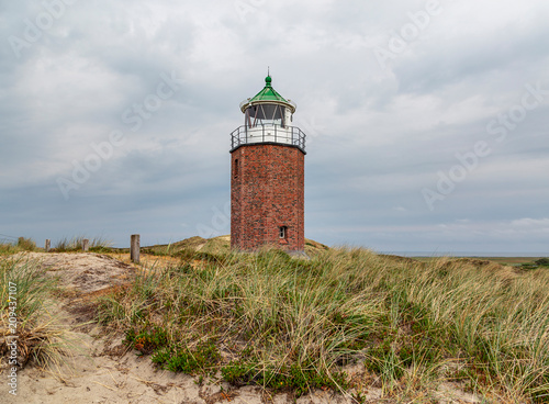 Tall Reed Grass at Kampen Lighthouse at Sylt / Germany