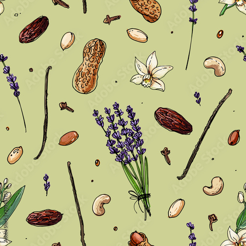 Pattern Nuts and spices line drawn on a white background. Sketch of food. Walnut, cocoa beans, vanilla, Gorica, almonds, hazelnuts, peanuts, anise