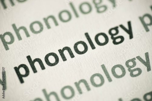 word phonology printed on paper macro