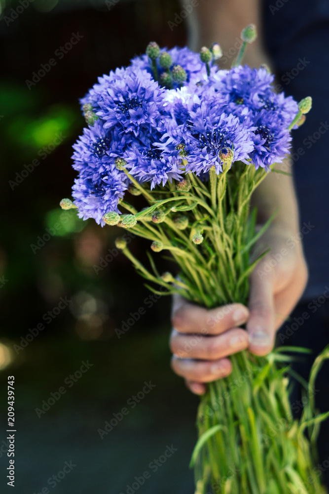 Purple flowers for summer solstice celebration