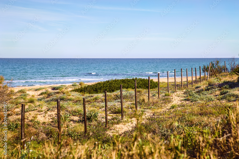 tranquil beach with many sand dunes protected tranquil beach with many sand dunes protected