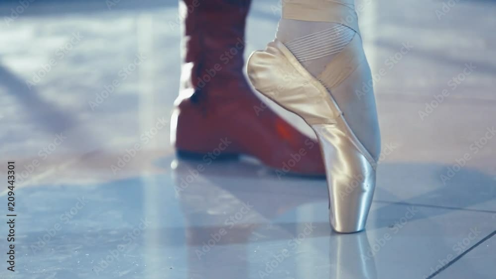 custom made wallpaper toronto digitalClassical Russian ballet. Blows the dancers. 05