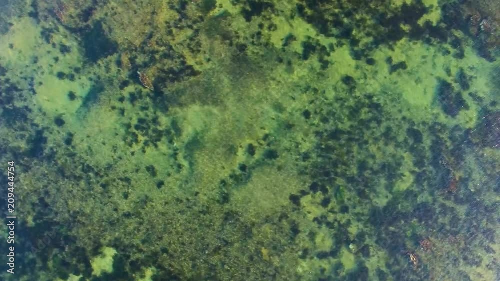 Flight looking down at shallow turquoise ocean bay water with geologic and mineral underwater features Flight looking down at shallow turquoise ocean bay water with geologic and mineral underwater features