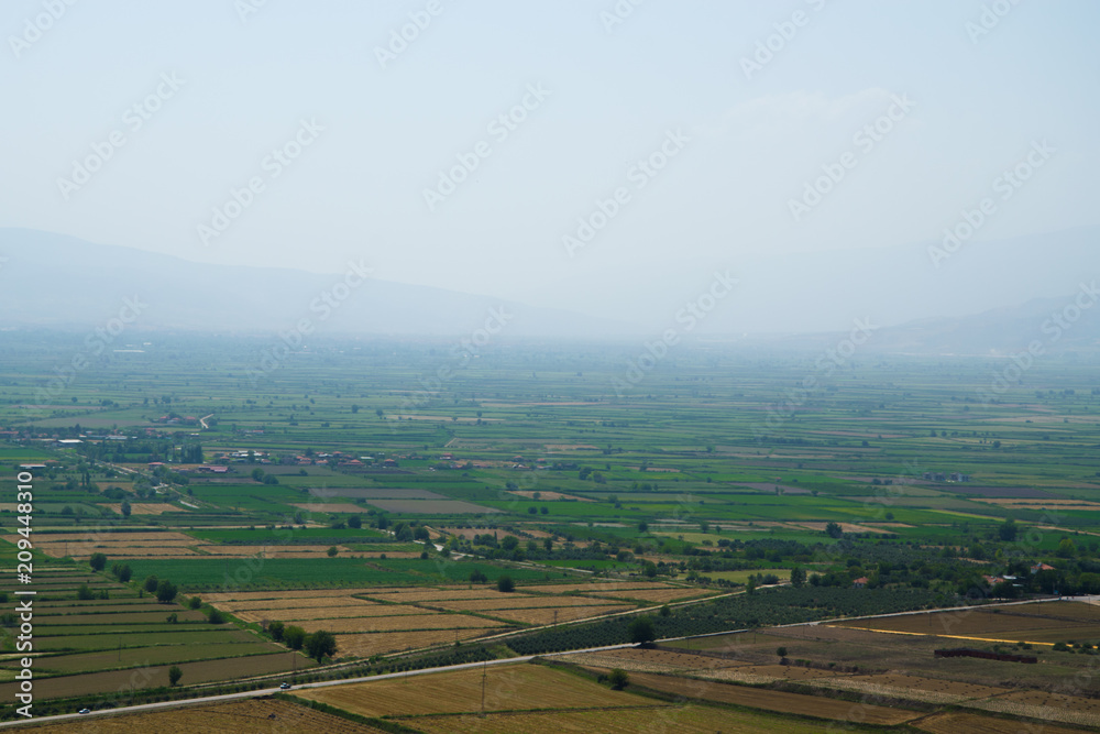 Obraz premium Field Field Fields