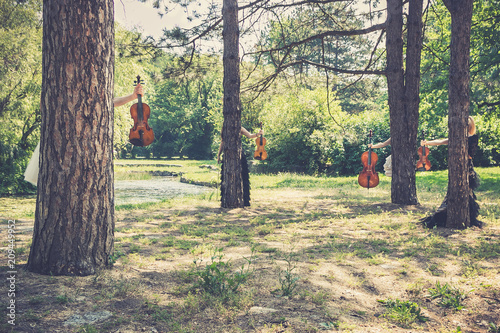 Music and nature concept. Female musical quartet with string instruments, one cello and three violins, hiding behind the trees, prepares to play in nature next to the river. photo