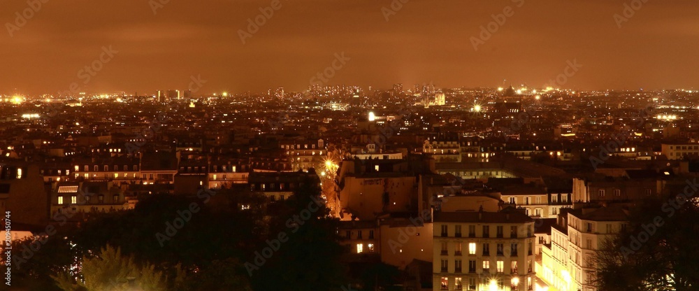 Città di Parigi  vista di sera